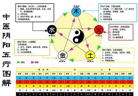 木生火 火生土 土生金 金生水|卷一·天人解·五行生克